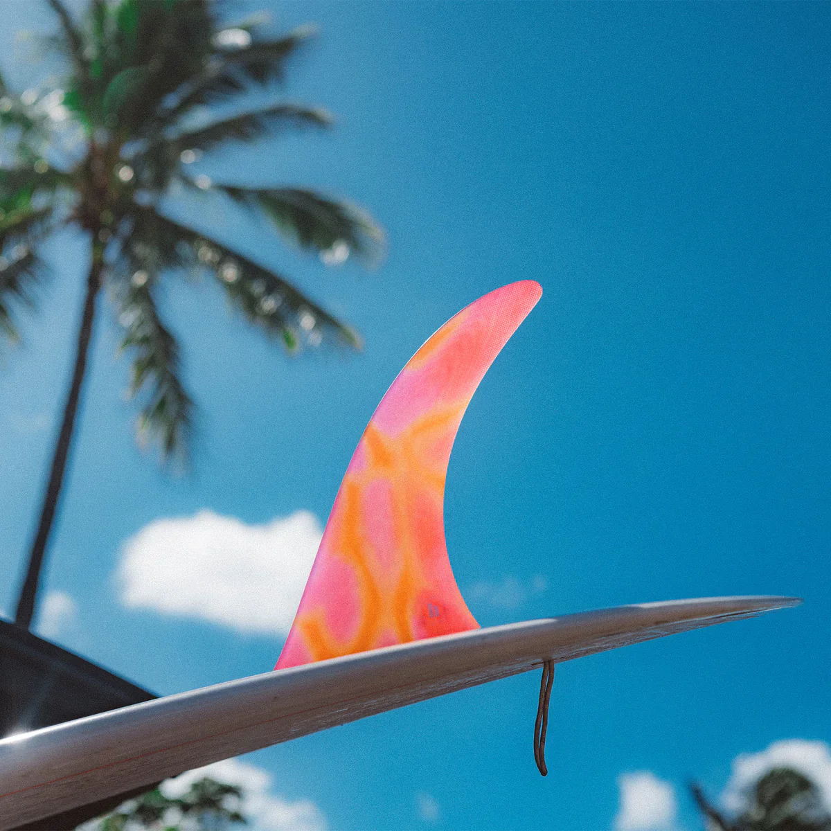 FCS II Kelia Moniz Longboard Fin - Image 17